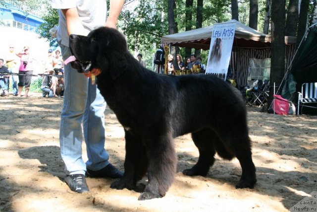 Фотография № 46771