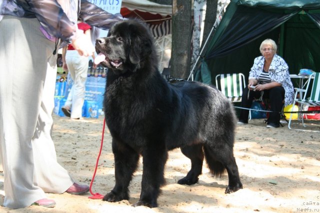 Фотография № 46773