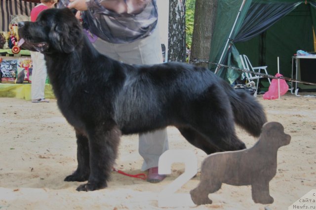 Фотография № 46778