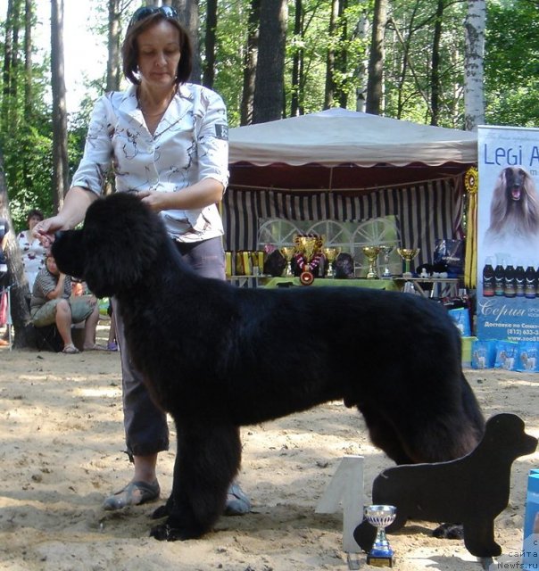 Фотография № 46779