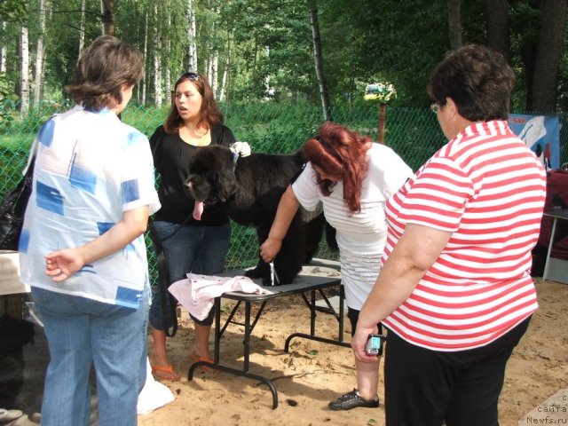 Фотография № 46787