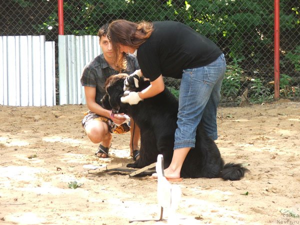 Фотография № 46788