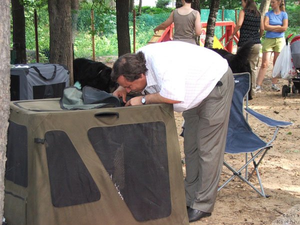 Фотография № 46789