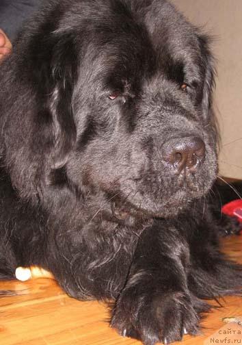 Фото: Александра Пернай