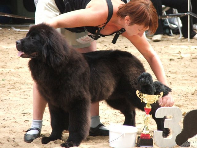 Фотография № 46791