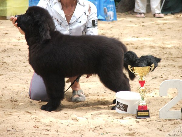 Фотография № 46794