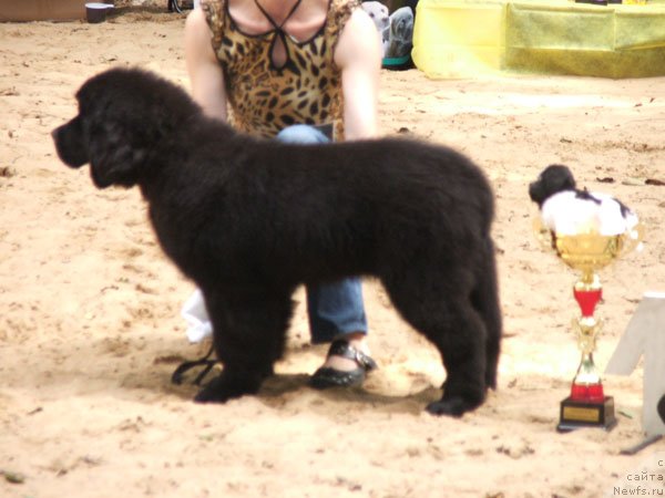 Фотография № 46795