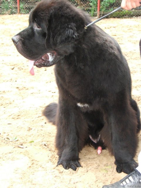 Фотография № 46797