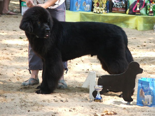 Фотография № 46798