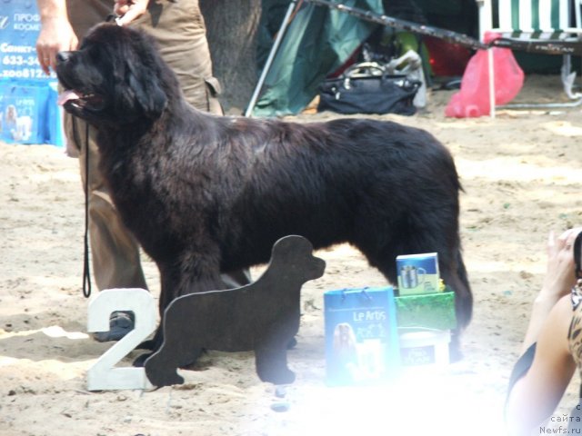 Фотография № 46800