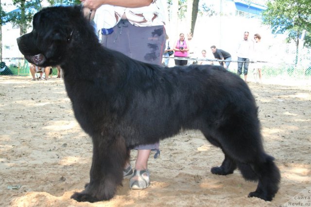 Фотография № 46876