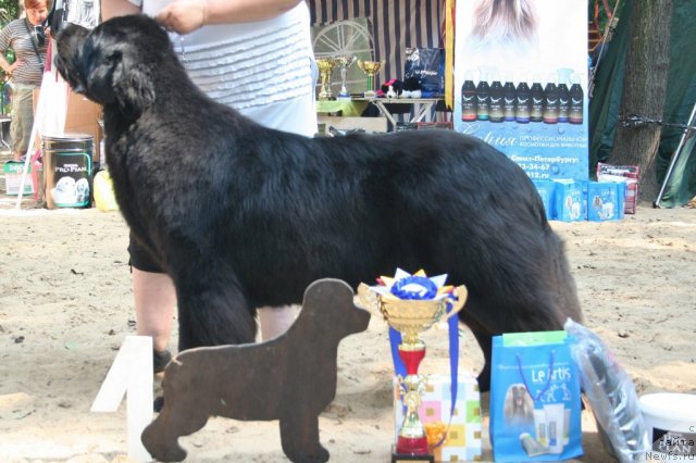 Фотография № 46879