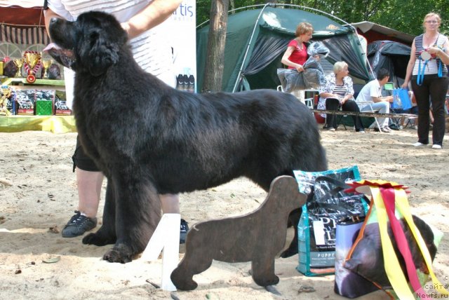 Фотография № 46880