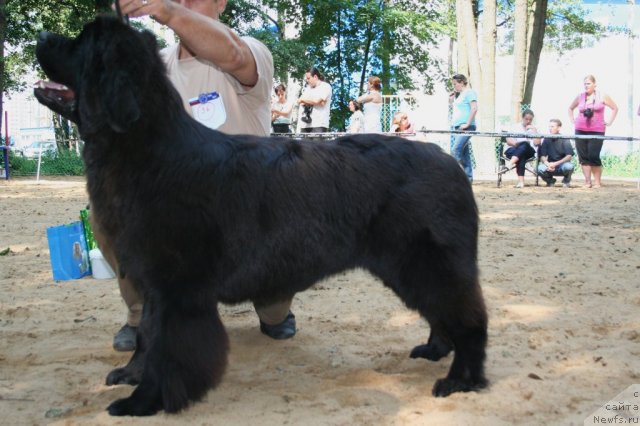 Фотография № 46881