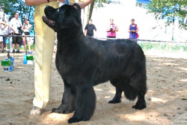 Фотография № 46883