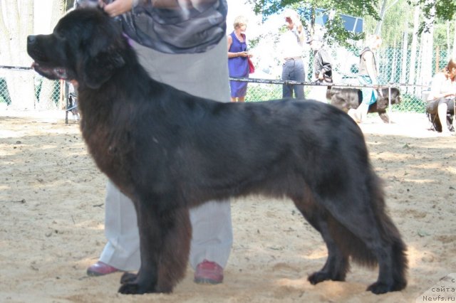 Фотография № 46885