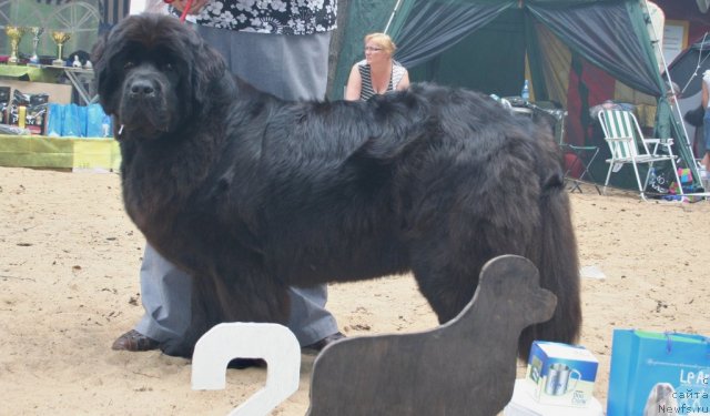 Фотография № 46890