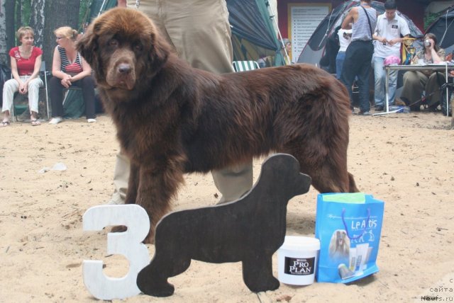 Фотография № 46892