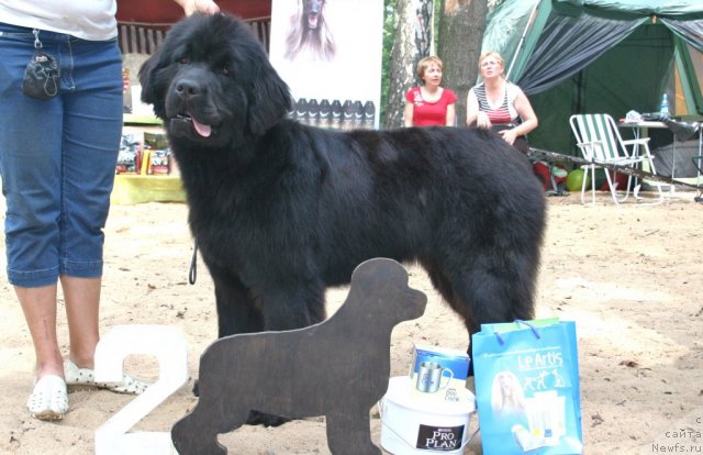 Фотография № 46895