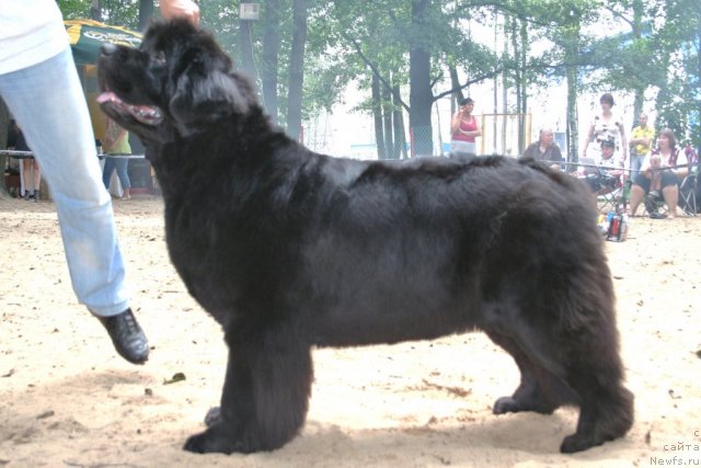 Фотография № 46898