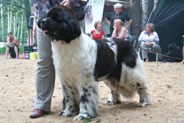 Фотография № 46901