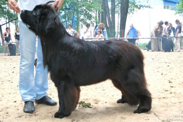 Фотография № 46903