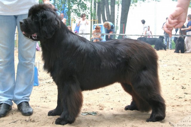 Фотография № 46904