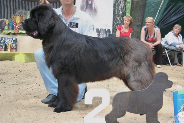 Фотография № 46905