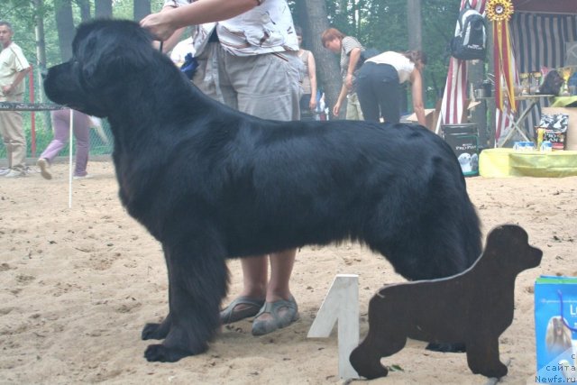 Фотография № 46908