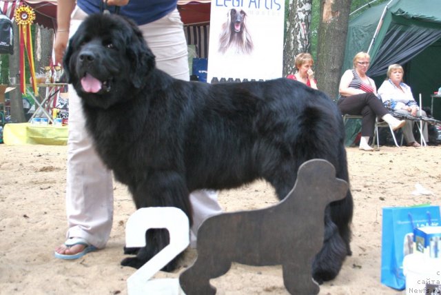 Фотография № 46910