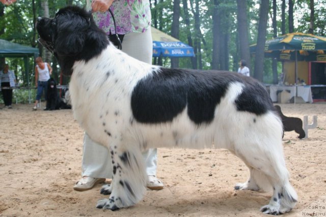 Фотография № 46911