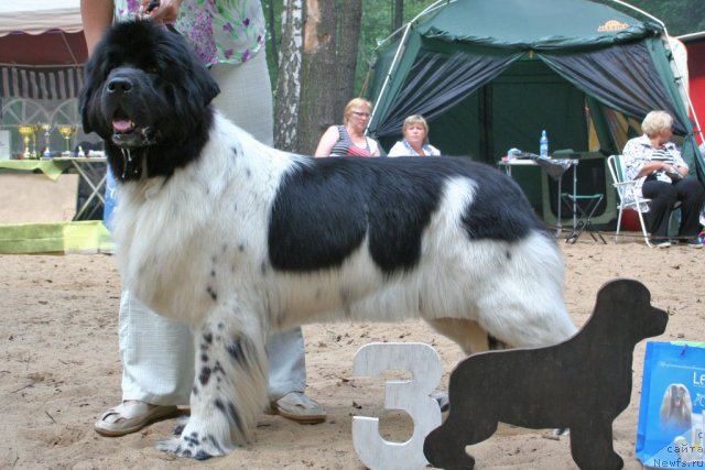 Фотография № 46912