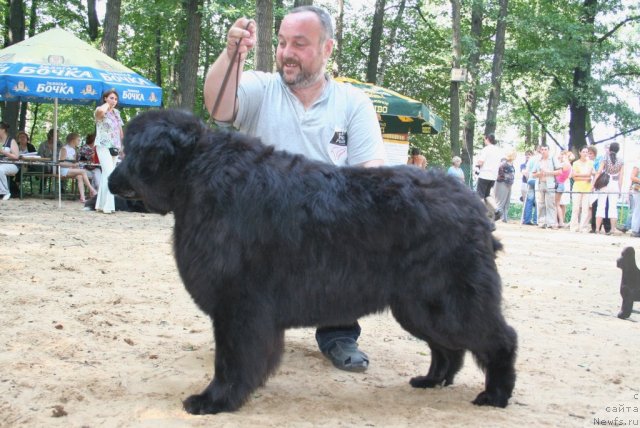 Фотография № 46921