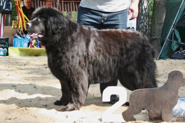 Фотография № 46922