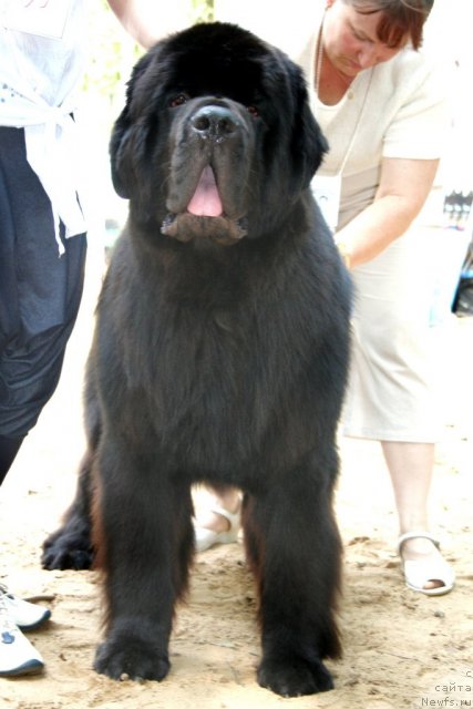 Фотография № 46925