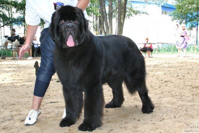 Фотография № 46927