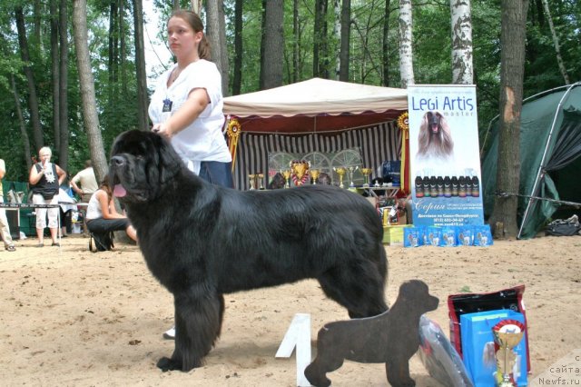 Фотография № 46928