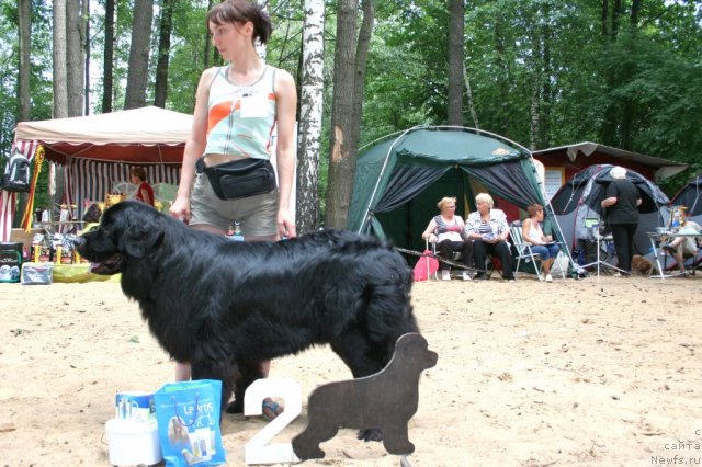 Фотография № 46930