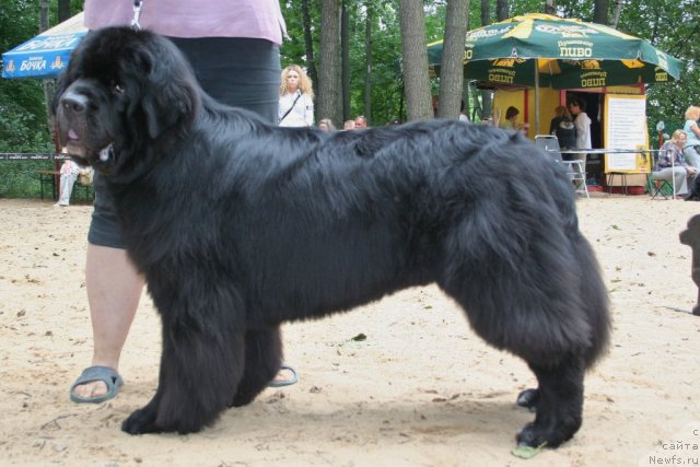 Фотография № 46931