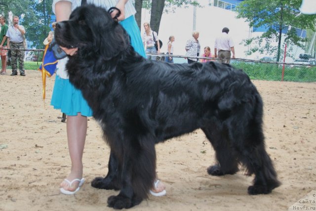 Фотография № 46933