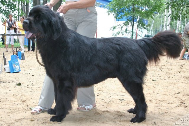 Фотография № 46936