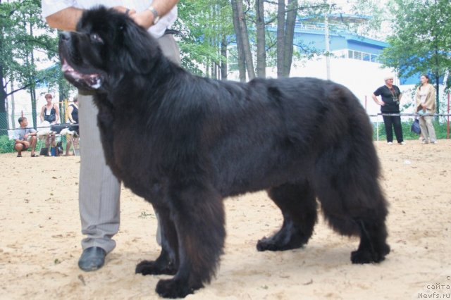 Фотография № 46939