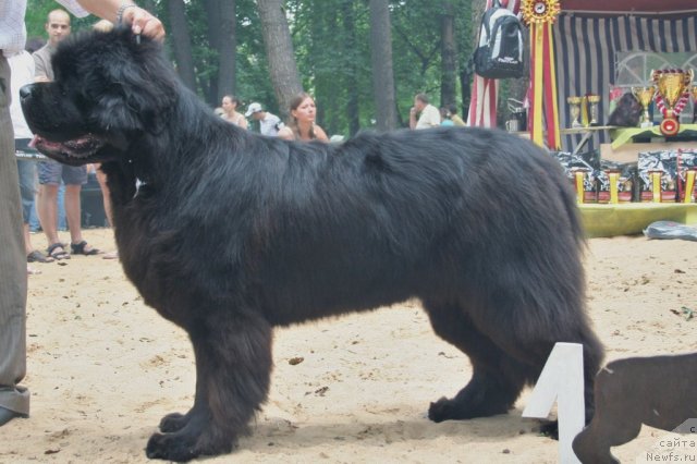 Фотография № 46941