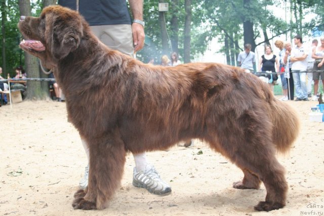 Фотография № 46943