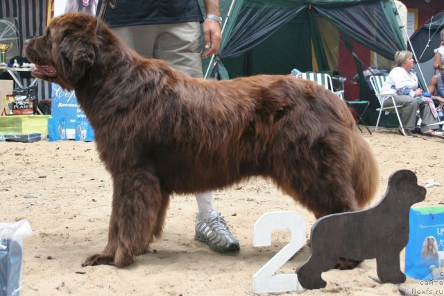 Фотография № 46944