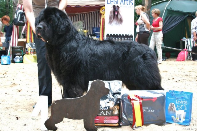 Фотография № 46946