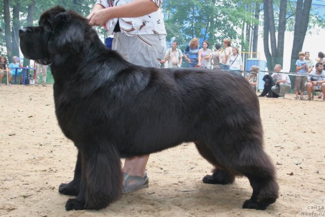 Фотография № 46947