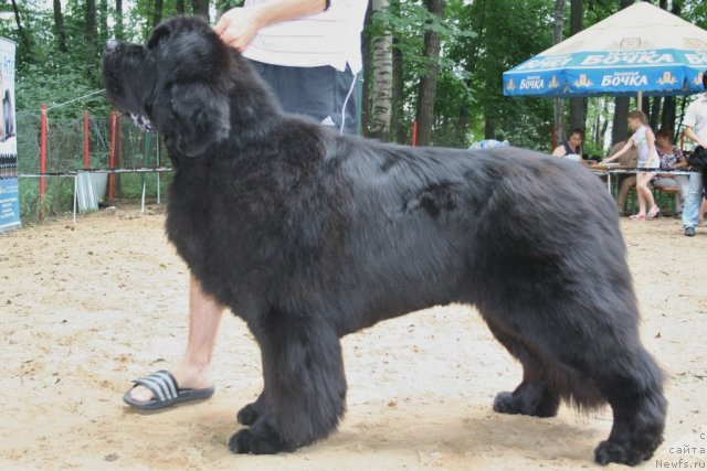 Фотография № 46953