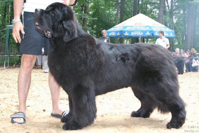 Фотография № 46954