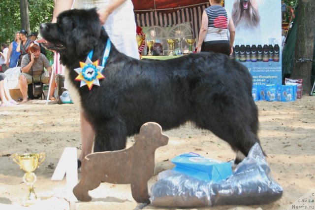 Фотография № 46956